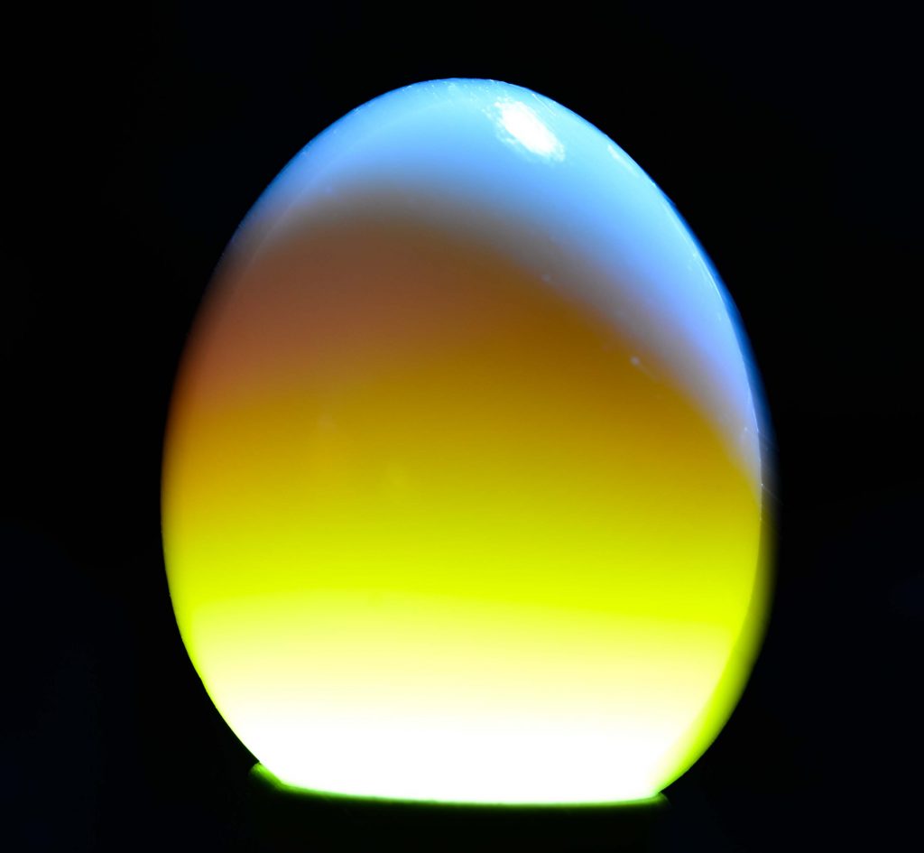Egg
